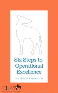 電子書籍『The Six Steps to Operational Excellence』