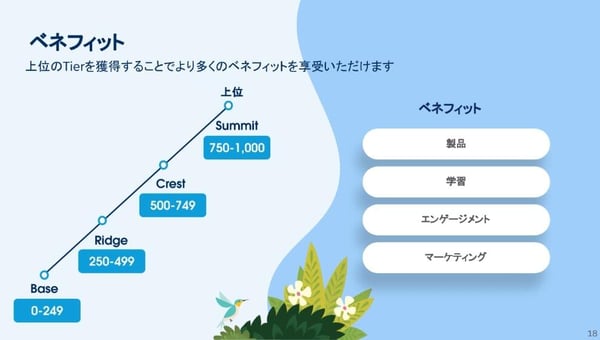 SalesforceのTier制度