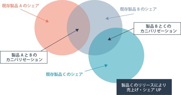 カニバリゼーションの仕組みと原因